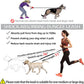 Laisse pour chien mains libres avec sac banane pratique