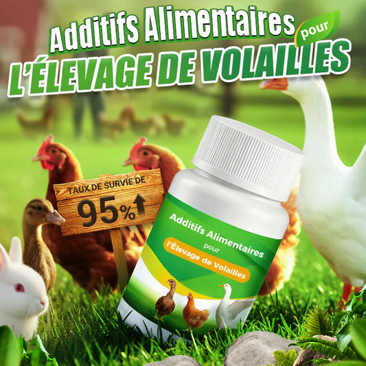 Complément alimentaire pour l'élevage de volailles