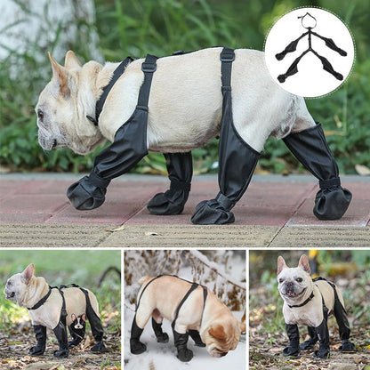 bottes imperméables pour animaux de compagnie