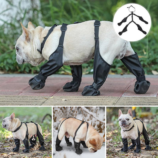 bottes imperméables pour animaux de compagnie