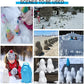 🎅Vente de Noël !!!⛄Kit de boules de neige amusantes et infinies