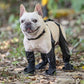 bottes imperméables pour animaux de compagnie
