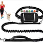 Laisse pour chien mains libres avec sac banane pratique