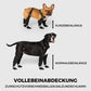 bottes imperméables pour animaux de compagnie