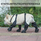 bottes imperméables pour animaux de compagnie