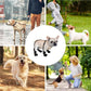 bottes imperméables pour animaux de compagnie