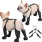 bottes imperméables pour animaux de compagnie