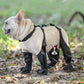 bottes imperméables pour animaux de compagnie