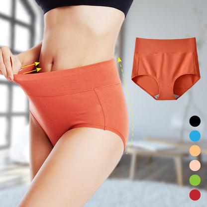 Culotte antibactérienne en coton pour femme grande taille