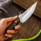 Couteau à désosser portable, tranchant et courbé, avec étui