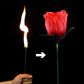 🔥Magic Rose - Torche vers Rose💖