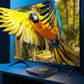 📻50% de réduction🔥Décodeur ultra haute définition 4K
